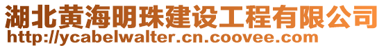 湖北黃海明珠建設(shè)工程有限公司