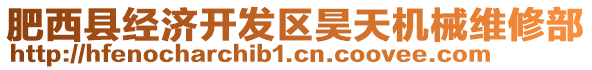 肥西縣經(jīng)濟(jì)開(kāi)發(fā)區(qū)昊天機(jī)械維修部