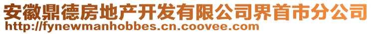 安徽鼎德房地產開發(fā)有限公司界首市分公司