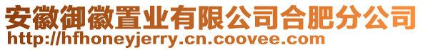 安徽御徽置業(yè)有限公司合肥分公司