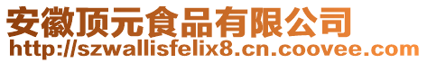 安徽頂元食品有限公司