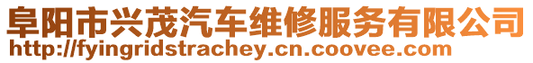 阜陽市興茂汽車維修服務(wù)有限公司