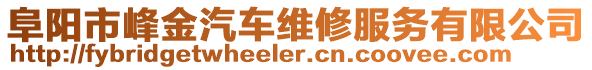阜陽市峰金汽車維修服務有限公司