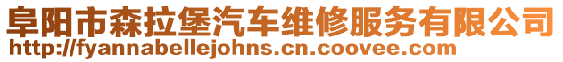 阜陽市森拉堡汽車維修服務有限公司