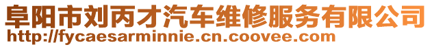 阜陽市劉丙才汽車維修服務有限公司