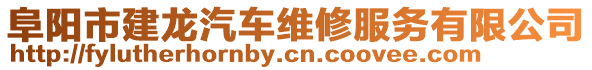 阜陽市建龍汽車維修服務有限公司