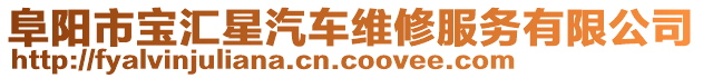 阜陽市寶匯星汽車維修服務有限公司