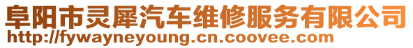 阜陽市靈犀汽車維修服務有限公司