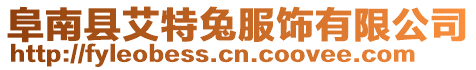 阜南縣艾特兔服飾有限公司