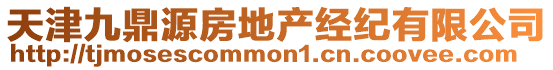 天津九鼎源房地產經紀有限公司