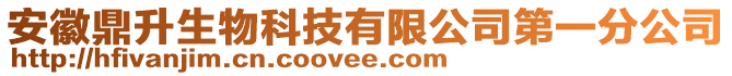安徽鼎升生物科技有限公司第一分公司