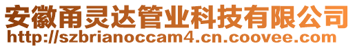 安徽甬靈達管業(yè)科技有限公司
