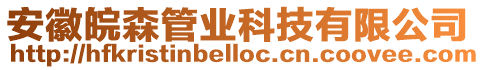 安徽皖森管業科技有限公司
