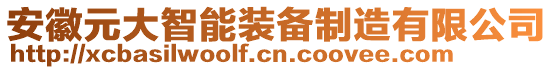 安徽元大智能裝備制造有限公司