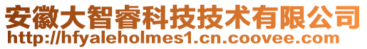 安徽大智?？萍技夹g(shù)有限公司