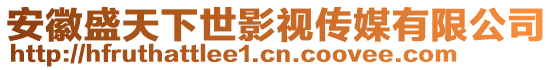 安徽盛天下世影視傳媒有限公司