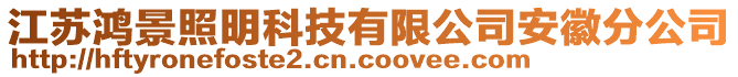 江蘇鴻景照明科技有限公司安徽分公司