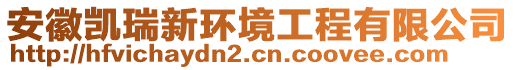 安徽凱瑞新環(huán)境工程有限公司