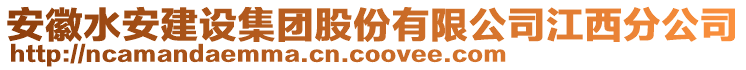 安徽水安建設(shè)集團(tuán)股份有限公司江西分公司