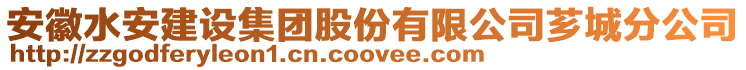 安徽水安建設集團股份有限公司薌城分公司