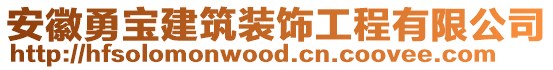 安徽勇寶建筑裝飾工程有限公司