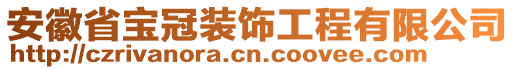 安徽省寶冠裝飾工程有限公司