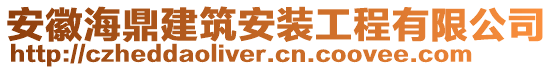 安徽海鼎建筑安裝工程有限公司