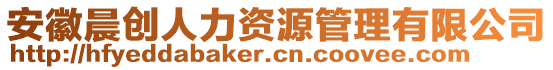 安徽晨創(chuàng)人力資源管理有限公司