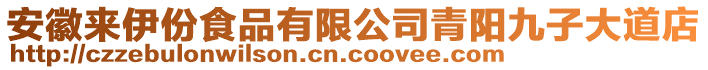 安徽來伊份食品有限公司青陽九子大道店