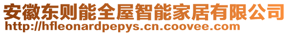 安徽東則能全屋智能家居有限公司