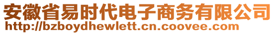 安徽省易時代電子商務有限公司