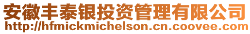 安徽豐泰銀投資管理有限公司
