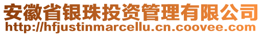 安徽省銀珠投資管理有限公司