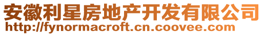 安徽利星房地產(chǎn)開發(fā)有限公司