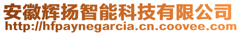 安徽輝揚(yáng)智能科技有限公司