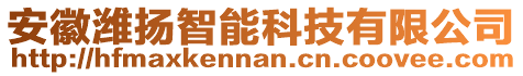 安徽濰揚(yáng)智能科技有限公司