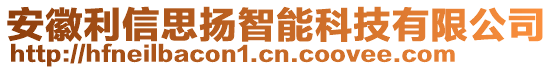 安徽利信思揚智能科技有限公司