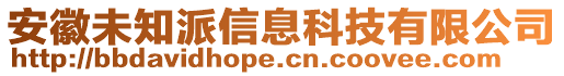 安徽未知派信息科技有限公司
