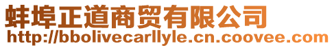 蚌埠正道商貿有限公司