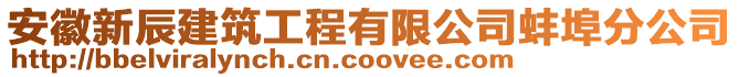 安徽新辰建筑工程有限公司蚌埠分公司