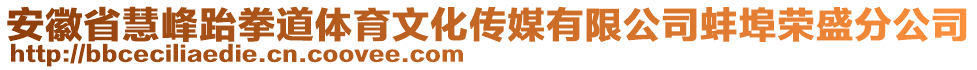 安徽省慧峰跆拳道體育文化傳媒有限公司蚌埠榮盛分公司