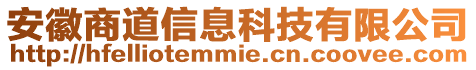 安徽商道信息科技有限公司