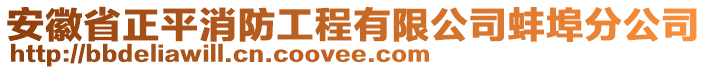 安徽省正平消防工程有限公司蚌埠分公司