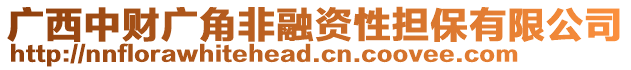 廣西中財廣角非融資性擔保有限公司