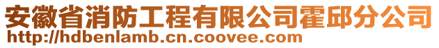 安徽省消防工程有限公司霍邱分公司