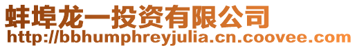蚌埠龍一投資有限公司