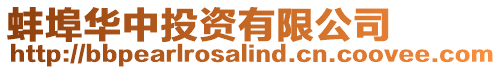 蚌埠華中投資有限公司