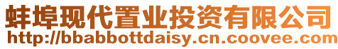 蚌埠現代置業投資有限公司