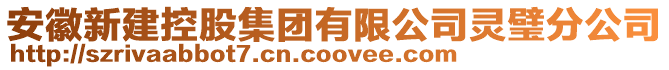 安徽新建控股集團有限公司靈璧分公司