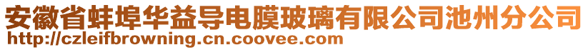 安徽省蚌埠華益導(dǎo)電膜玻璃有限公司池州分公司